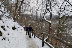 06-laser-ing-domjenak-Plitvice